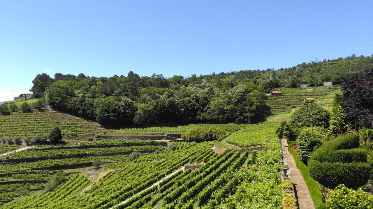 Quinta De Santa Julia Villa Peso da Régua Buitenkant foto