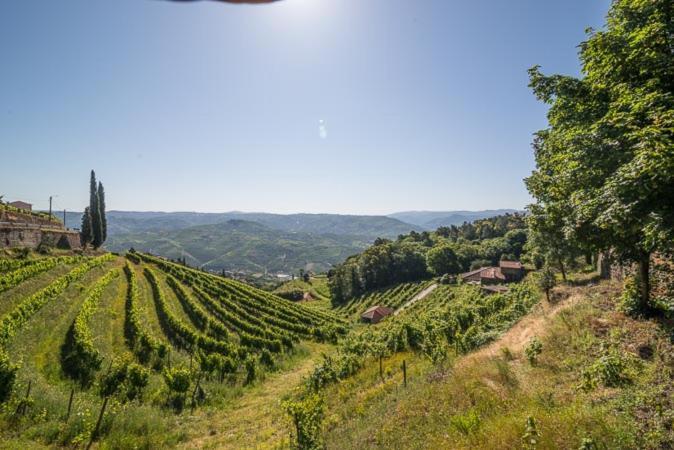 Quinta De Santa Julia Villa Peso da Régua Buitenkant foto