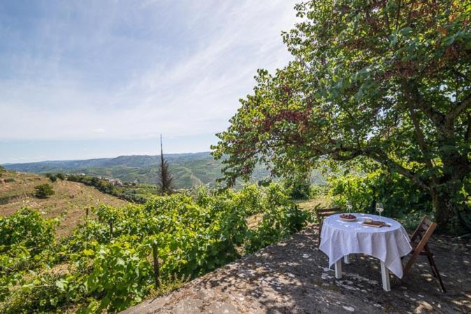 Quinta De Santa Julia Villa Peso da Régua Buitenkant foto