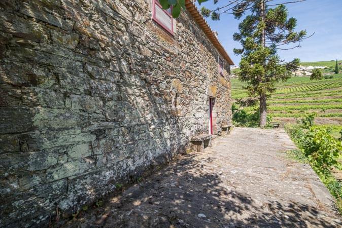 Quinta De Santa Julia Villa Peso da Régua Buitenkant foto