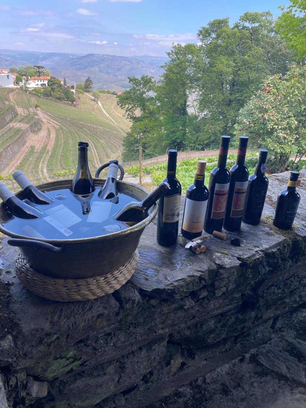 Quinta De Santa Julia Villa Peso da Régua Buitenkant foto